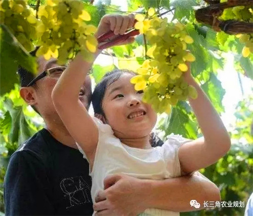 國家大力支持發(fā)展的“田園綜合體”是什么？怎么搞？(圖5)