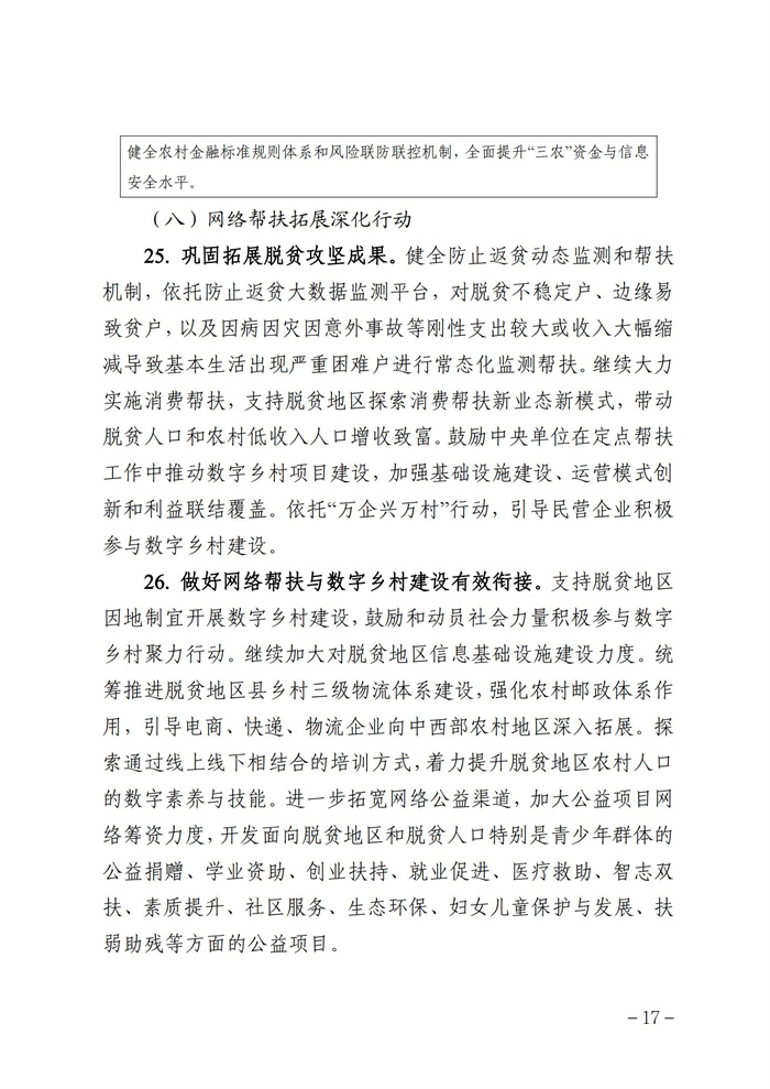 數(shù)字鄉(xiāng)村發(fā)展行動計劃(2022-2025年)_16.jpg